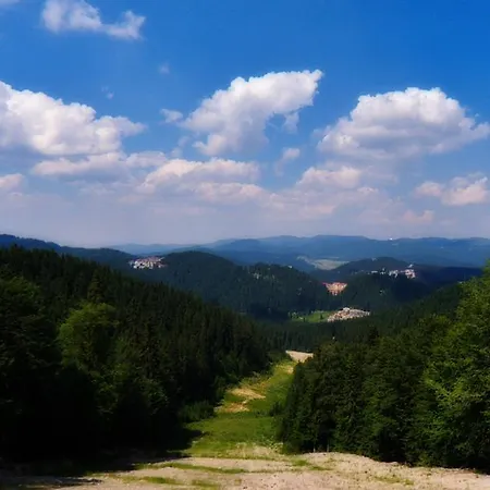 Apartment Vadjo In Stenata Pamporovo