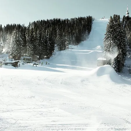 Vadjo In Stenata * パンポロボ