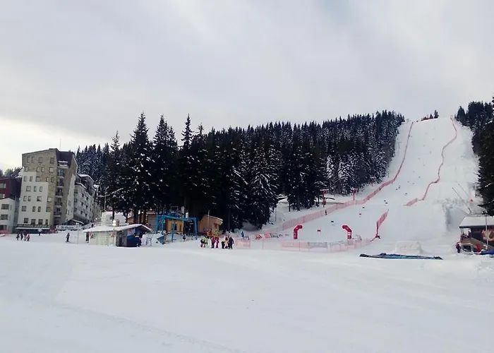 Vadjo In Stenata Apartment Pamporovo