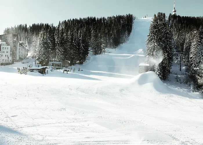 Vadjo In Stenata * Pamporovo